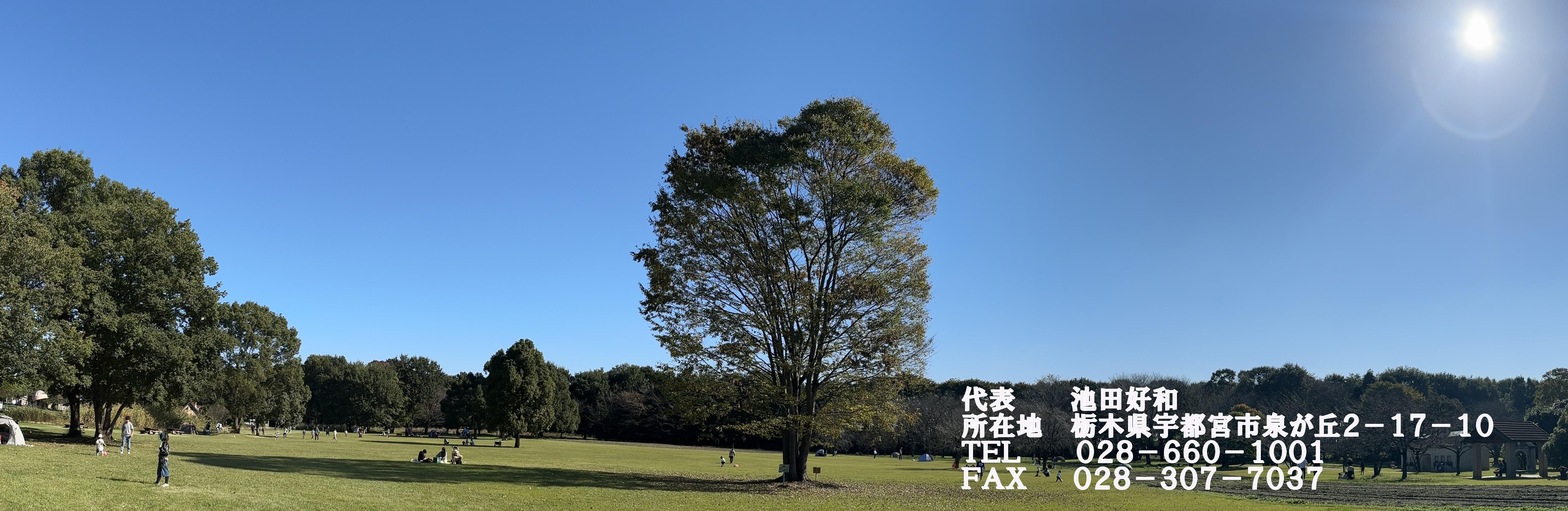 行政書士オフィスイケダー栃木県宇都宮市